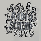 Listening Radio Schizoid